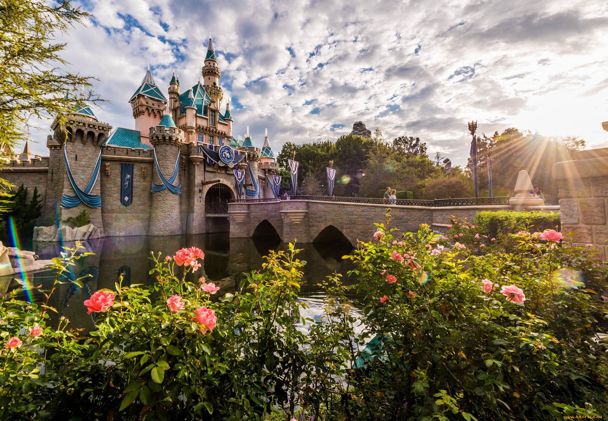 disneyland anaheim,  ca, , , , , 
